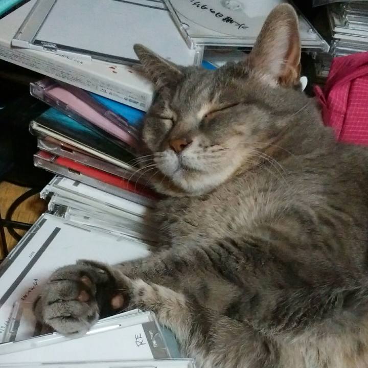 743cbd5b 26d4 4f4e 9888 8aba17838644 1559052834991