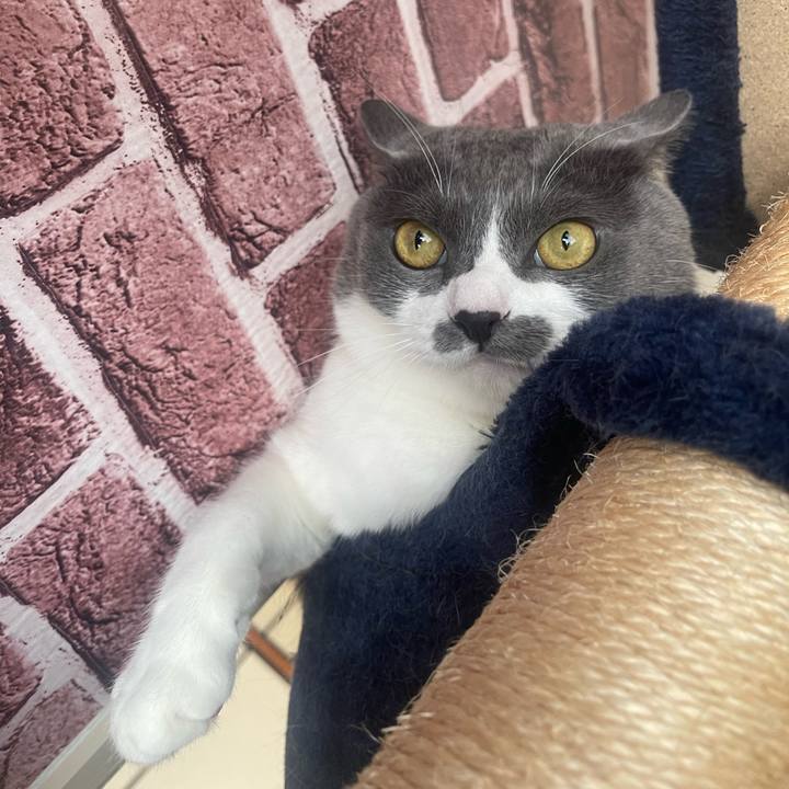 743cf867 74b2 4e15 a484 2f815c89a953 1728691026623