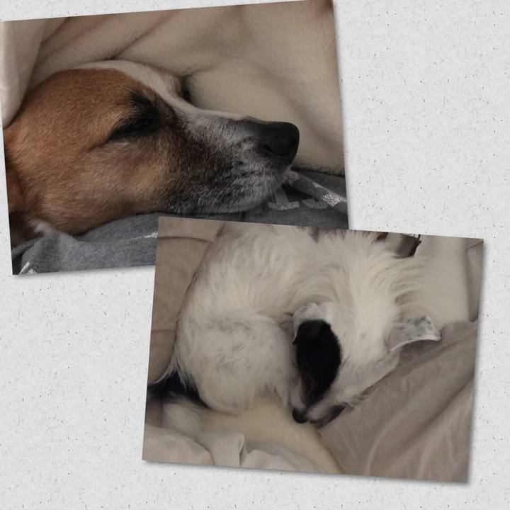 743d0dd9 4b47 4a72 aaad c1ce8608643b 1522938586013