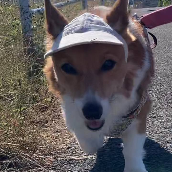 743d2012 4ac1 4e42 80a9 b23c0f010886 1668567242989