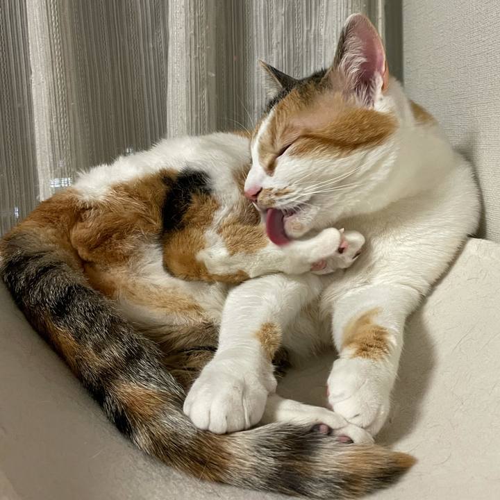 743d3382 6637 434b b805 c2c0e6276c8f 1617969412069