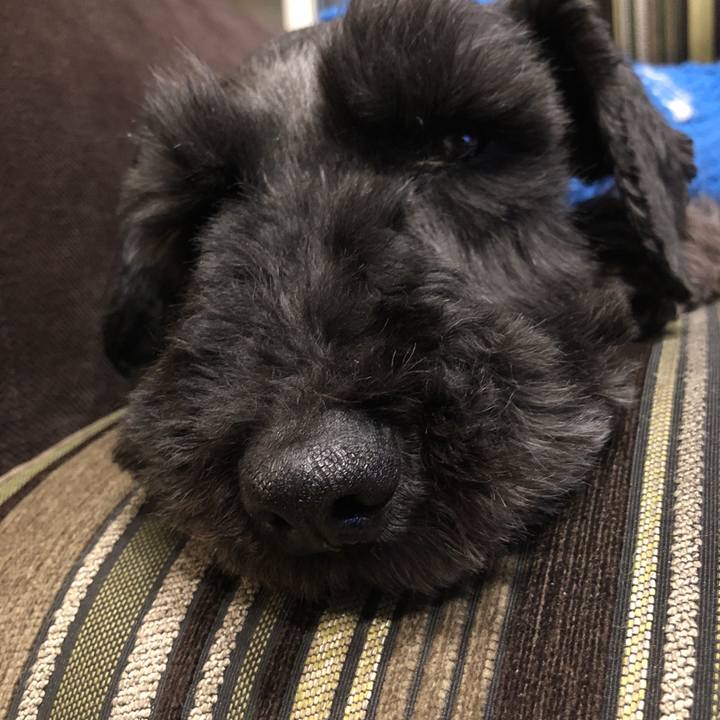 743d3b5b 7e6e 488d 912c e85719b3bee1 1523448239602