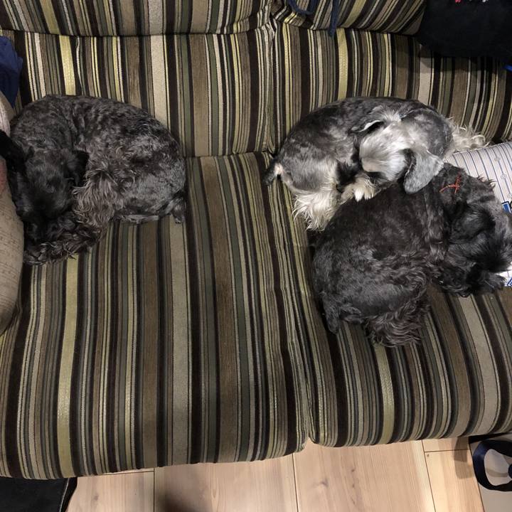 743d598e 2c88 471c 8630 08c1cfd43611 1580902773641