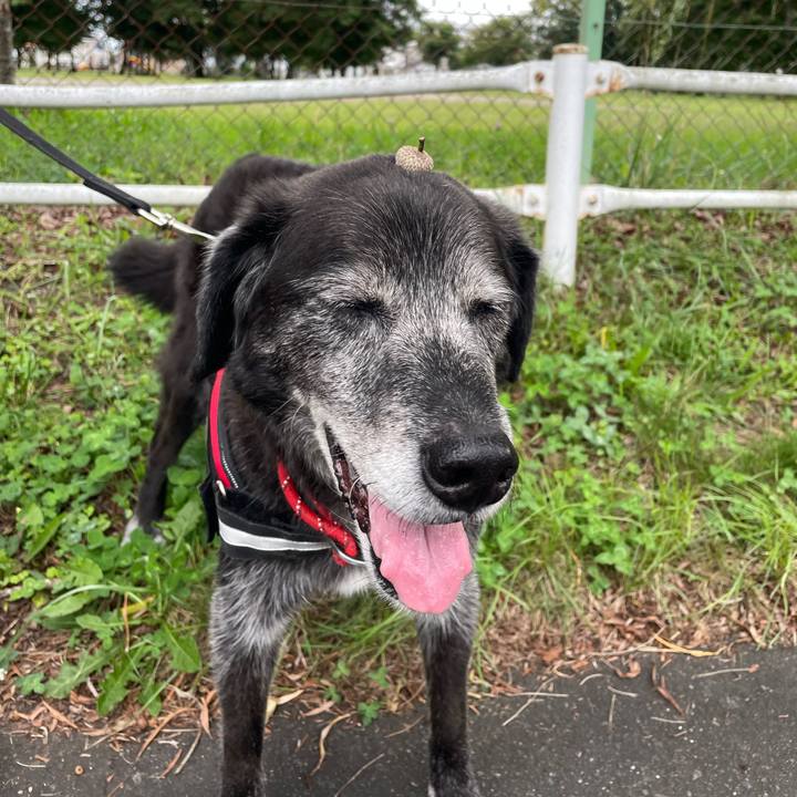 743d6fb1 5309 43b9 94c8 5e05b00fd85c 1758102945302