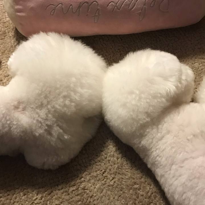 743d748f f644 4dd5 9785 d01acf5a12da 1583224410052