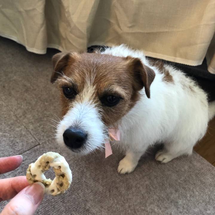 743d8505 46b6 4458 91a7 8989fee12406 1556800405508