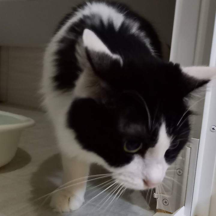 743d9017 4b95 42c1 a30b 5095c1b54000 1669727310279