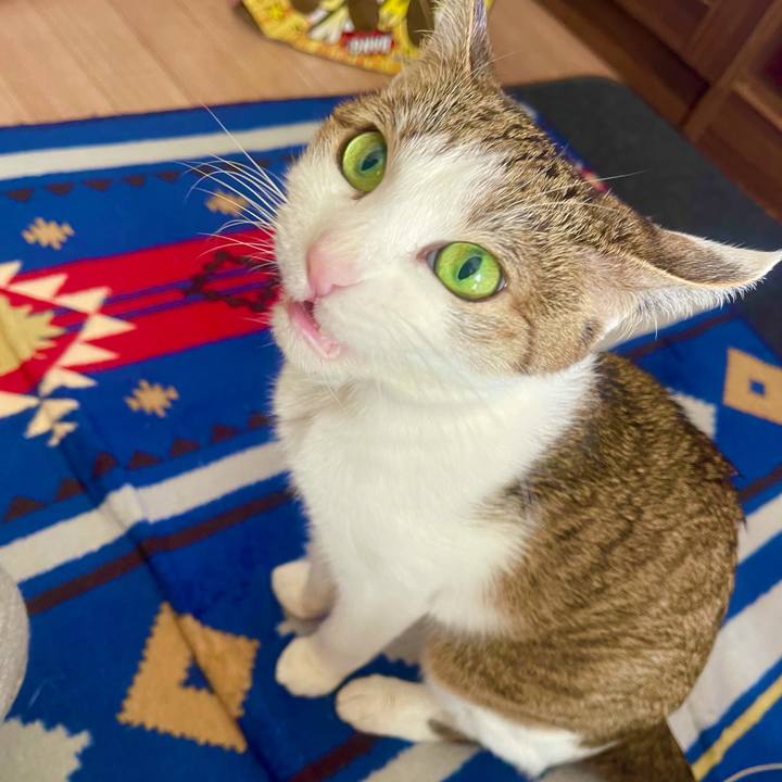 743d9bcf e5ab 42c6 aa2d 6de4ad1c6875 1636332311138