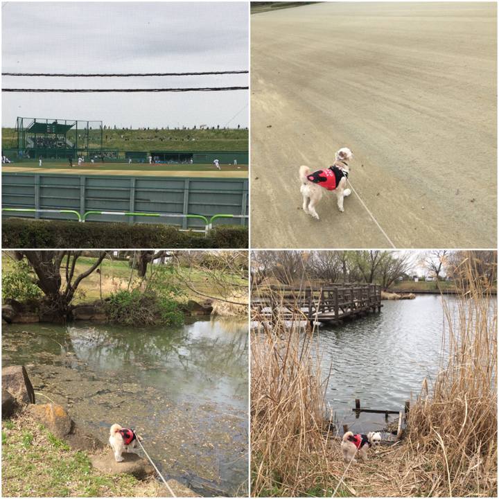 743dc550 196d 4a55 afd4 20d36eac3d34 1553237745065