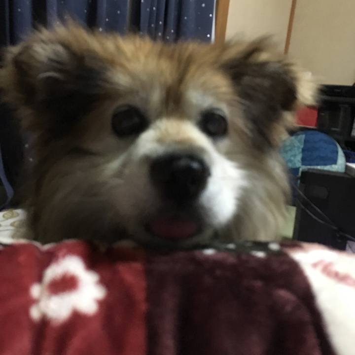 743e089d f89b 4e51 9284 387b1fcda2d0 1557678533199