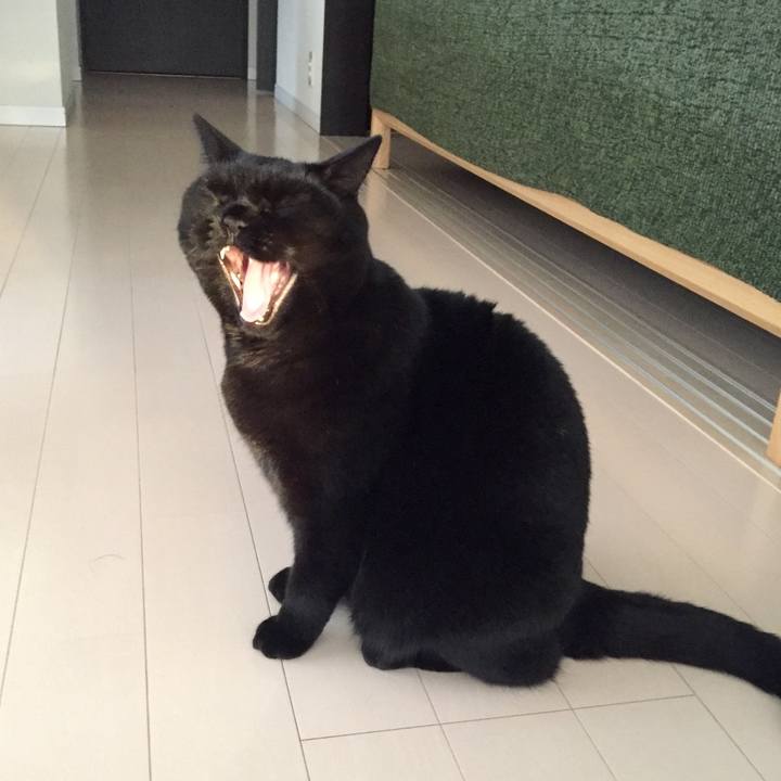 743e1865 1d41 420f a684 5033e091d59f 1545464573464