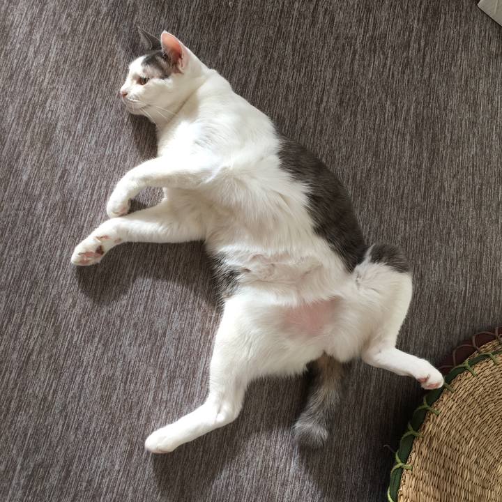 743e65d9 9819 426c 8303 ca2aecb8e6db 1533527440595