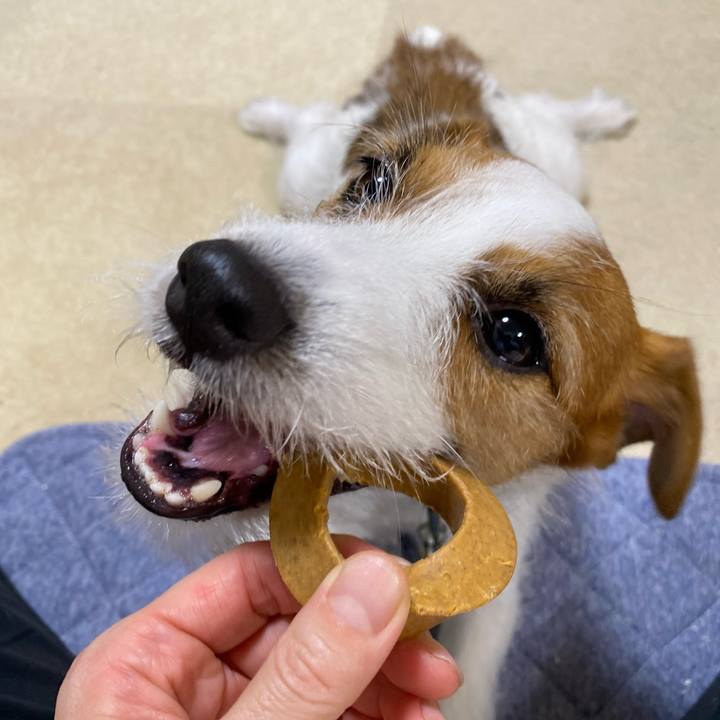 743e6748 9c1a 43e6 806a ec988f0f3b0e 1758664129102