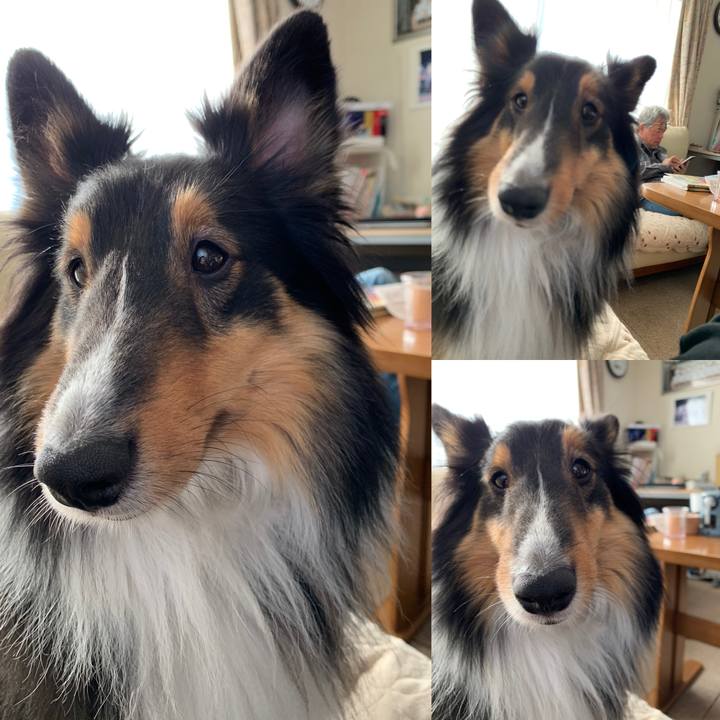 743eb955 ffcc 44cf bdc3 2da949678c9a 1583018027636