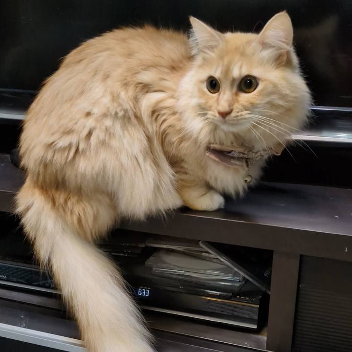 743edec0 4d0d 4188 b4f8 f8dc6fb7f8b6 1737414830913