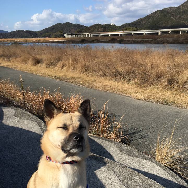 743ee253 8a5e 497c a9aa c27f9df1e2d9 1514960098984