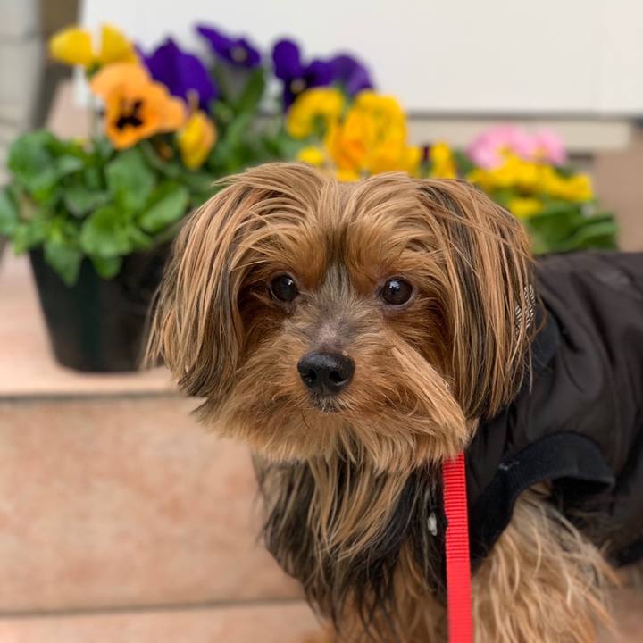 743ef448 6088 4fb2 bcc9 c6b499c09c49 1544501870923