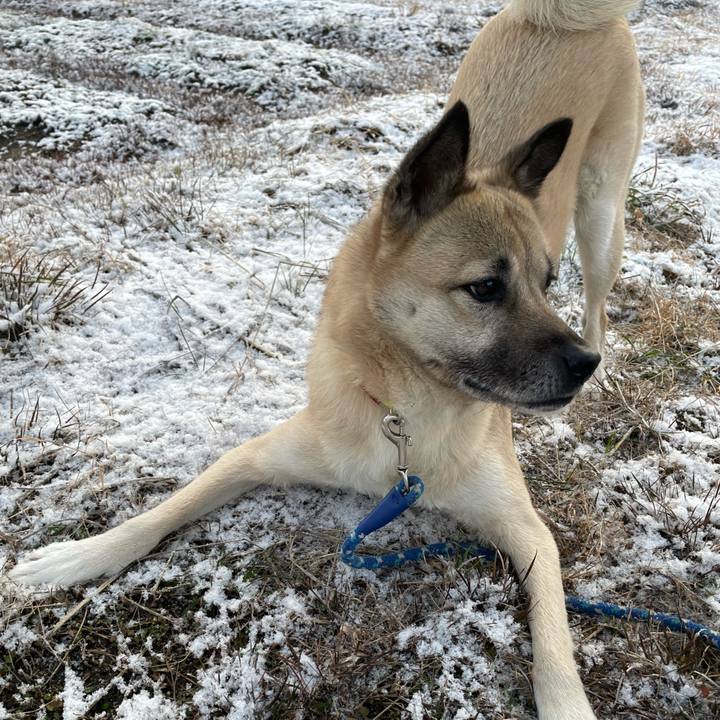 743efcfd 222e 4afa 8abd 3f6da11ec3aa 1645183626797