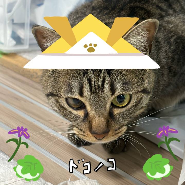 743f0caf b885 4177 a715 e99027259498 1715223460018