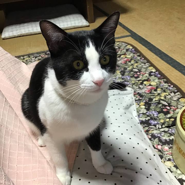 743f70ee 6564 48a5 a152 58ac2adc404b 1655283476422