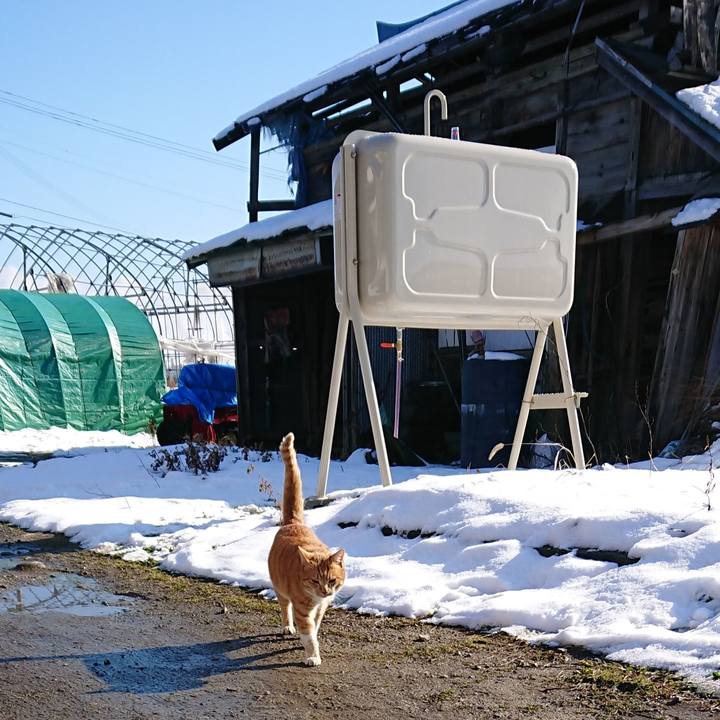 743f8ac0 8550 446b 8e74 15d04eac233a 1577587242678