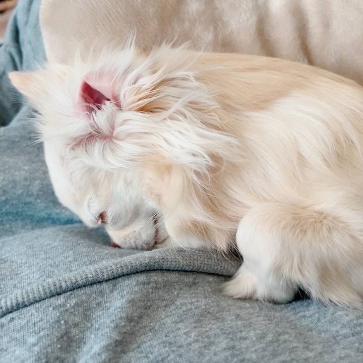 743f9593 82d0 4e90 98fe 1277d64ec309 1707042063186