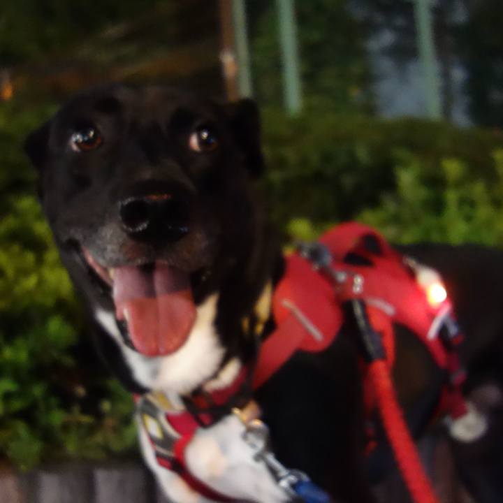 743f96bb 0494 47de 9881 acd998f289d5 1633514784179