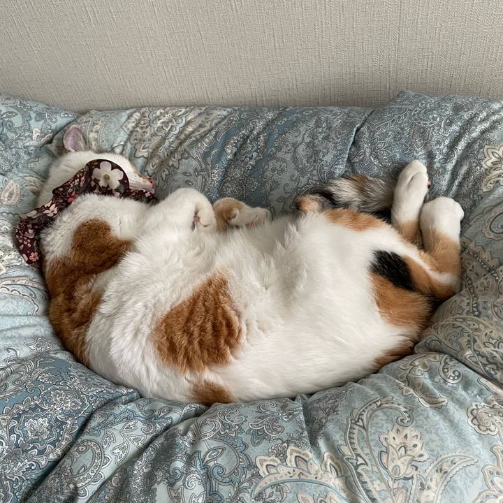 743fa2ea 4498 4d27 a214 4716d902b079 1759361517217