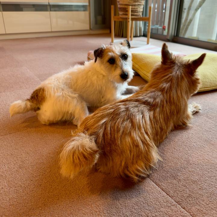 743fae3e 9810 4fca 9e16 89e3b631ca12 1764073148333