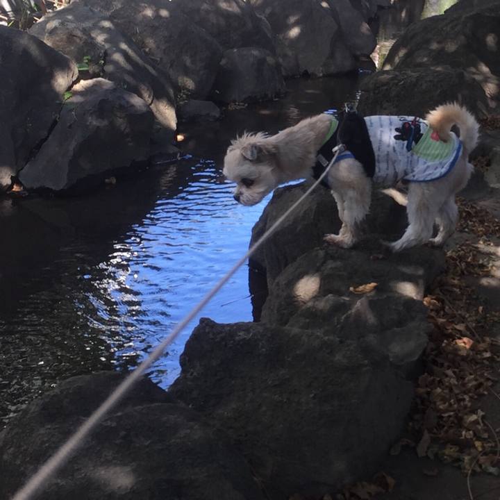 743fbbf2 d294 4892 b13e cf0257ef056d 1540206486367