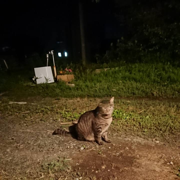 743fdd2e fecd 4a31 864b 50e83eb5963b 1656419917923