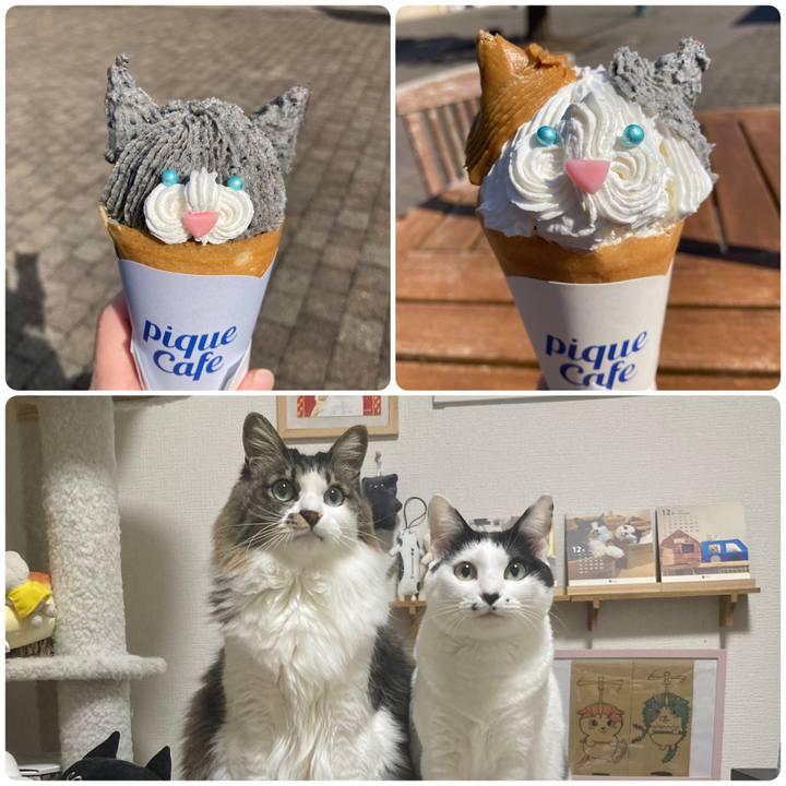 743ffcf4 38c1 497c 8855 97952ed915a1 1772193469322