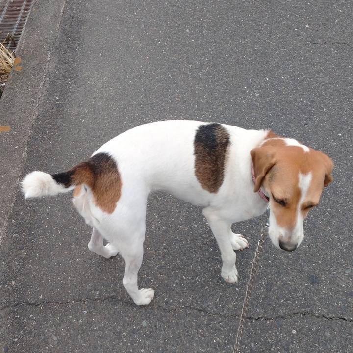 74400458 ca28 4d7e 98bc e26c587c7783 1599101800206