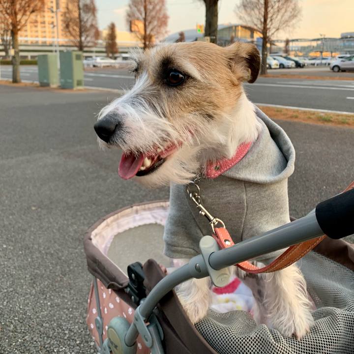 74408f32 e354 4f50 9e1d eb7a01cf14c4 1609242245960