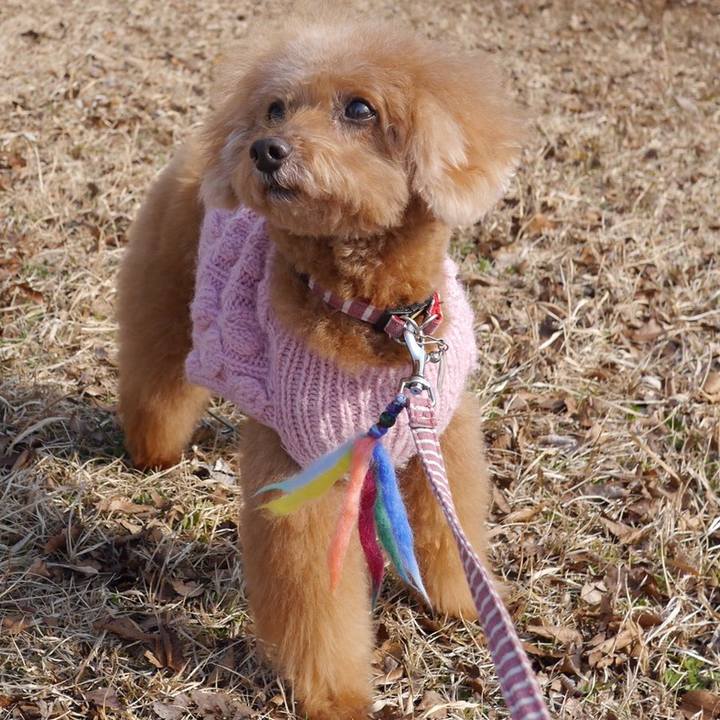 7440a5f8 7726 44b1 b9ea cf35533f52ea 1613897331785