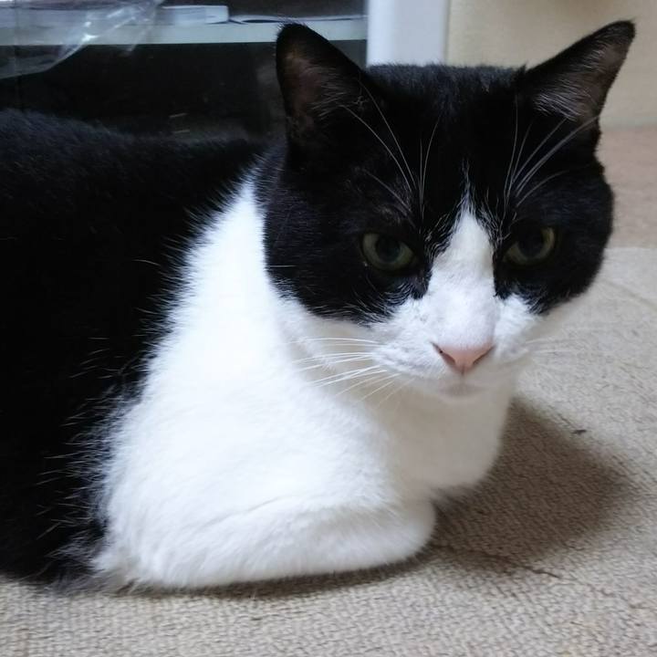 7440c77f 6742 4c1a 952d 747b37800a19 1537998475230