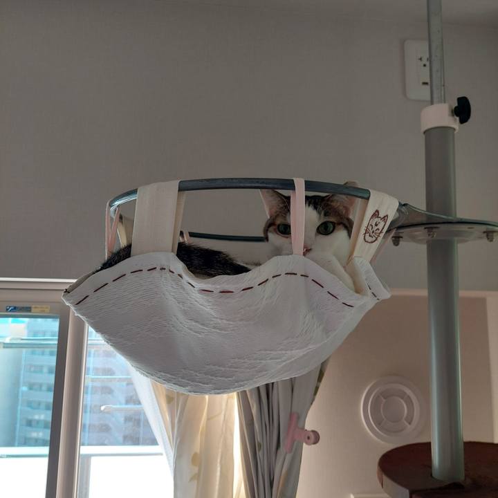 7440d979 19ac 4577 8d3e e5aaf1ae12b5 1667687327951