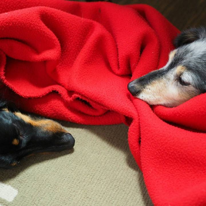 74411efd 4ca7 437d b71a 68fbdbb8064a 1551911649706