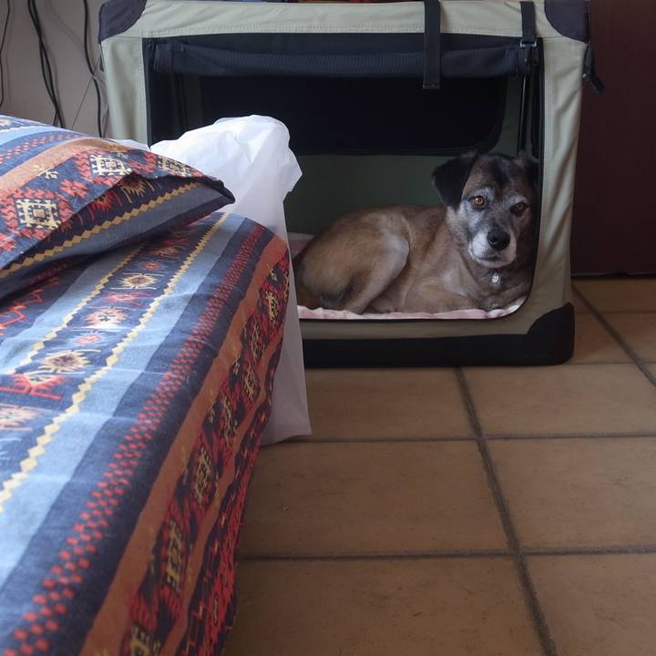 744164d5 2e8d 474b 9164 1465b707bead 1594464591555