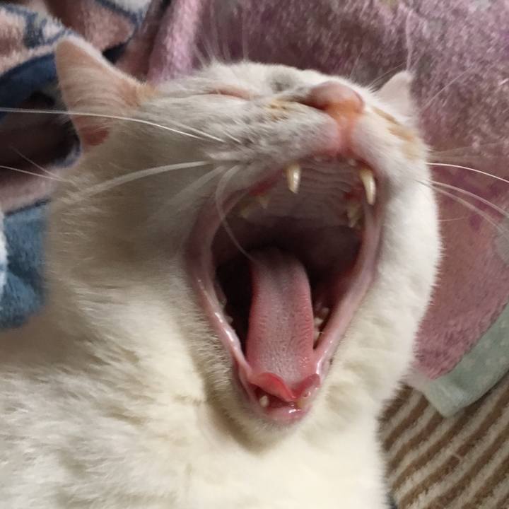 7441a5fb c65e 4ad6 8d64 e9e9da012a9c 1555079255506