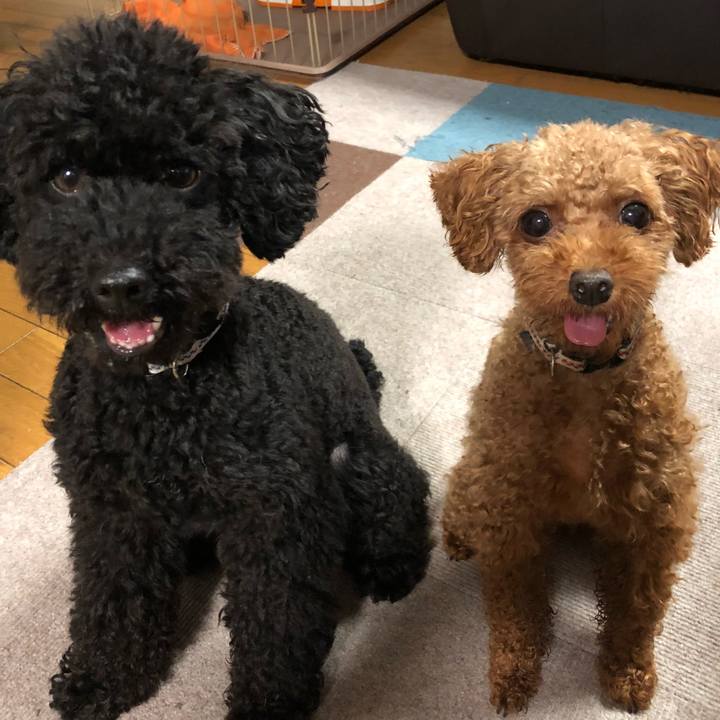 7441ba7d bbea 48e9 b31d 7d81654970be 1530790182608