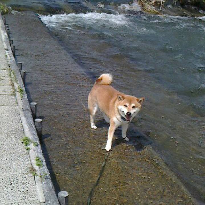 7441c23e 5f65 4784 ab5f e071f5ba1dfa 1557546543865