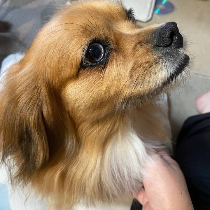 7441c9c3 ac09 4829 9743 cffc7aa438a1 1637878596983