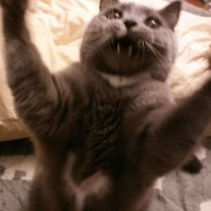 7442218f 8733 4599 92d7 ac64d703bf37 1589072957102