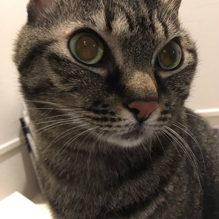 7442318f ea3c 485f aa12 f44901a01ce1 1577630275027