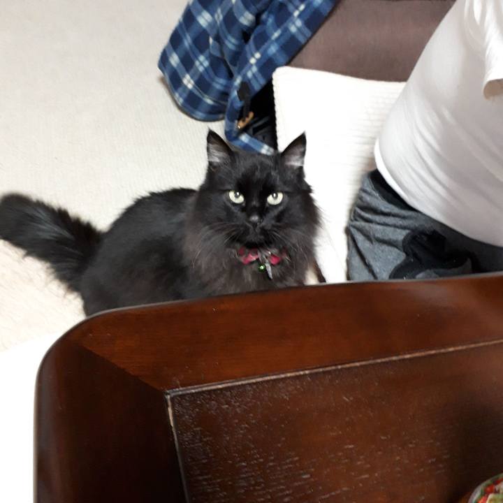 74424c17 74f1 434a b0d4 281c2c82e76f 1522314323877