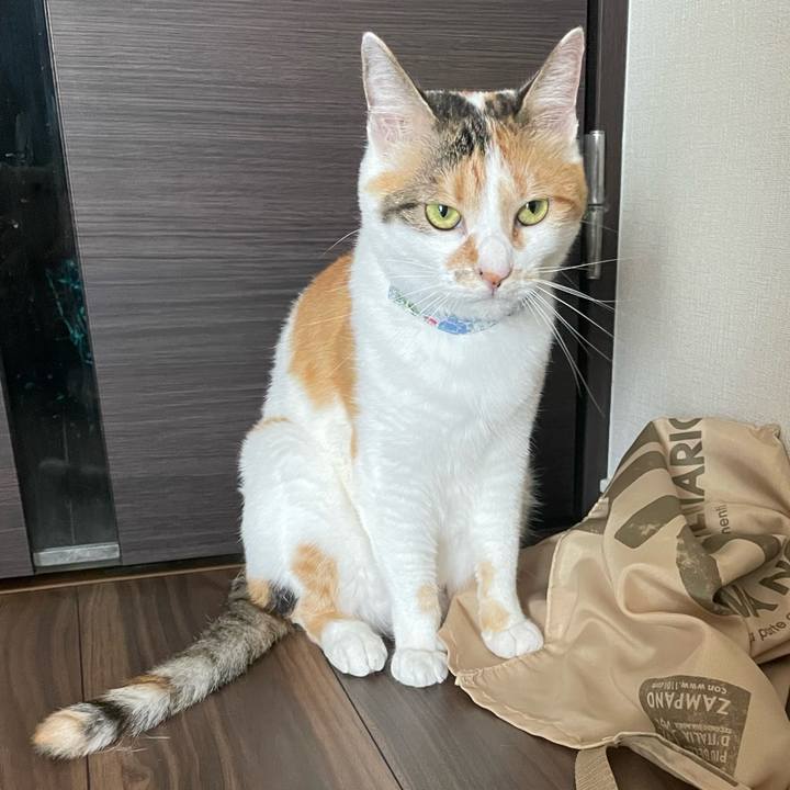 7442584a 7e8a 44c0 bcf8 dc0000df507d 1688513311616