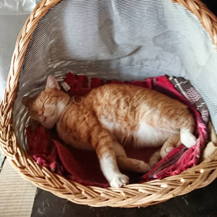 74426b93 fcf5 4035 97a2 7e4c006b9836 1568595125992