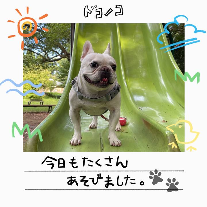 7442a358 1497 4353 a374 80498248a251 1755124925826