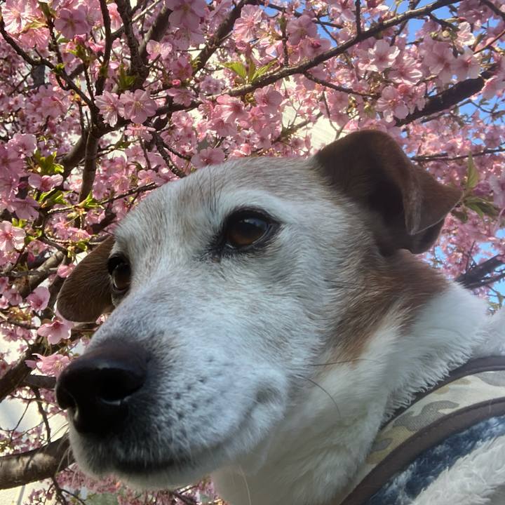 7442c41a 5f89 4adb a94c c714a9585f01 1771543087398